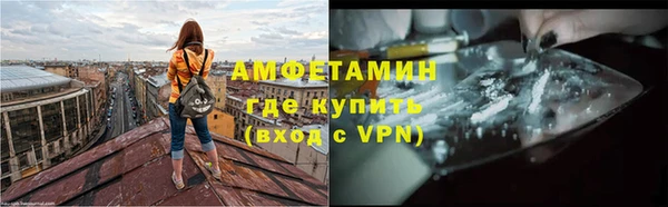 гидра Арсеньев
