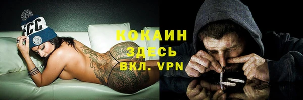 спиды Армянск