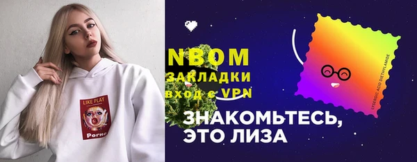 гидра Арсеньев
