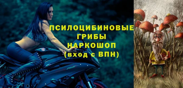 гидра Арсеньев