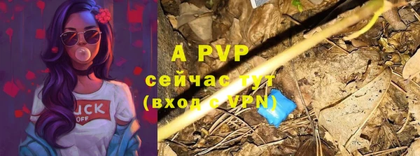 гидра Арсеньев