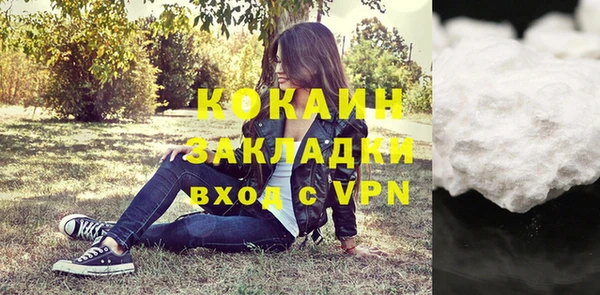 гидра Арсеньев