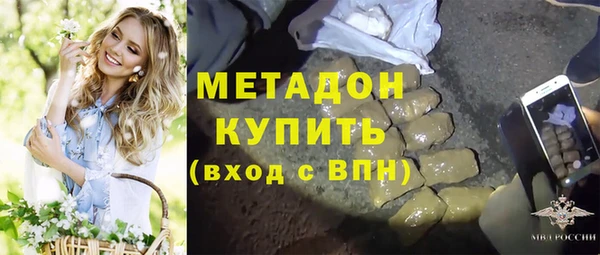 гидра Арсеньев